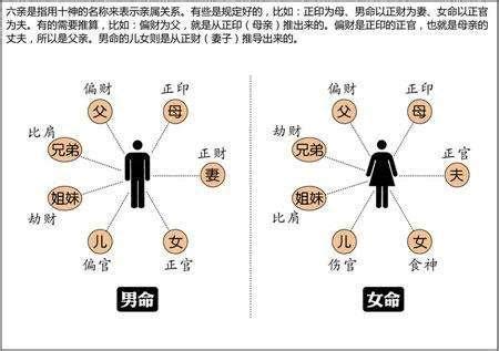 十神六亲|八字怎么断六亲？推导过程是怎样的？详解十神与六亲。